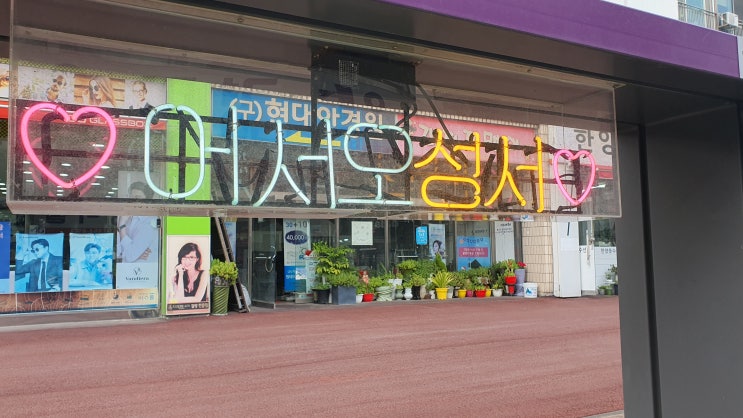  [충주에서 일주일 살기] 성서 젊음의거리 ~ 사과나무이야기길~호암지생태공원