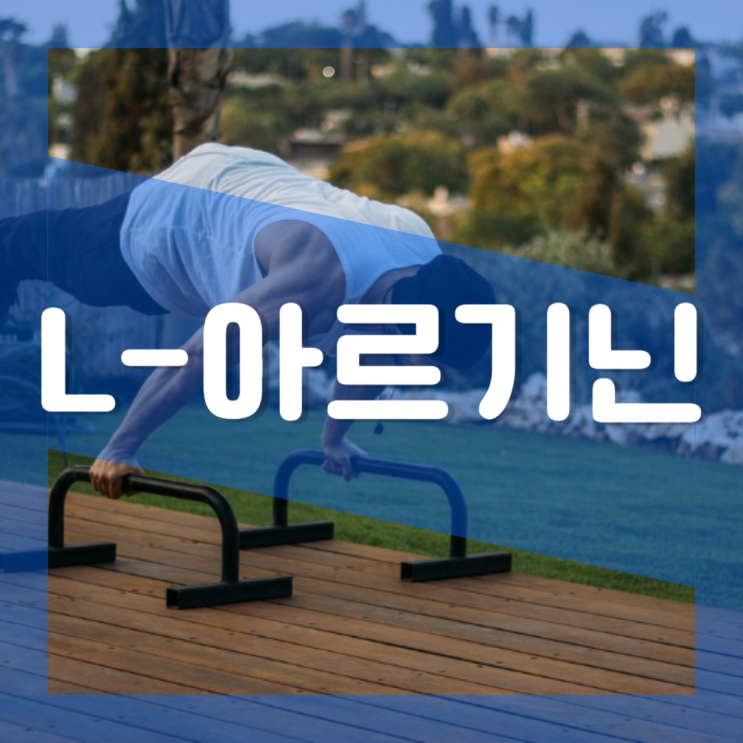  L-아르기닌 효능 부작용 : 남자 여자 섭취량 복용방법