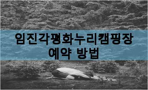 임진각평화누리캠핑장 예약 방법