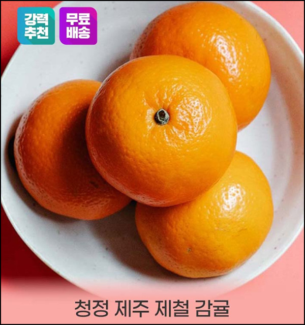 [심쿵 할인공구] 제주 귤 맛보기 1,900원부터(무배)신규