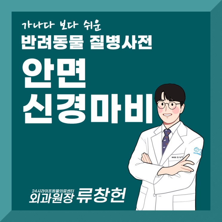 대구강아지침치료 : 강아지 안면신경마비 구안와사 강아지 마비증상 치료방법 알아보기