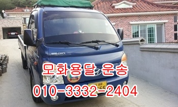 외동 모화용달 입실 불국사 양북 감포 울릉도 제주도. 외동 모화용달 입실 불국사 양북 감포 울릉도 제주도.