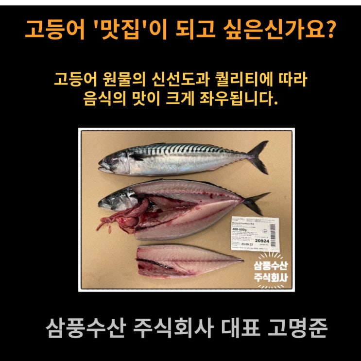  생선구이 맛집 되는 방법? 노르웨이 고등어 자반 업소용 식당용 도매 구매 팁