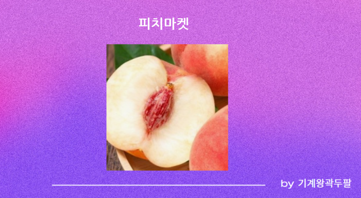  피치마켓의 의미와 사례!