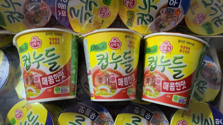  오뚜기 컵누들 맛 추천 및 맛 비교 - 짜장맛, 로제맛, 매콤찜닭맛, 우동맛, 매콤한맛