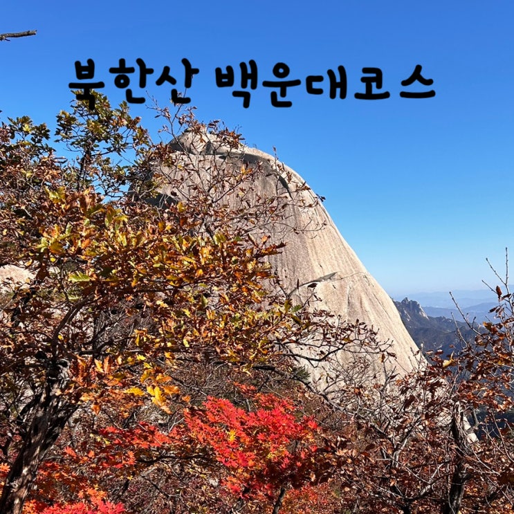 북한산 백운대코스 단풍 현황 등산 후기 (선운각~백운대탐방지원센터~백운산장~백운대)