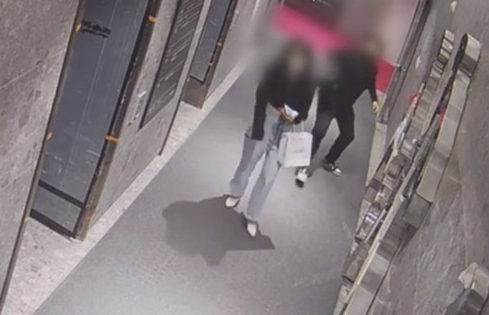  전자호각과 BC전기충격기 (전기충격기 허가 기준은?)