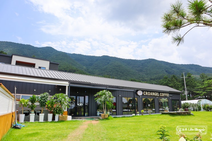  보령카페 베이커리 뷰맛집 크로엔젤 보령동대점