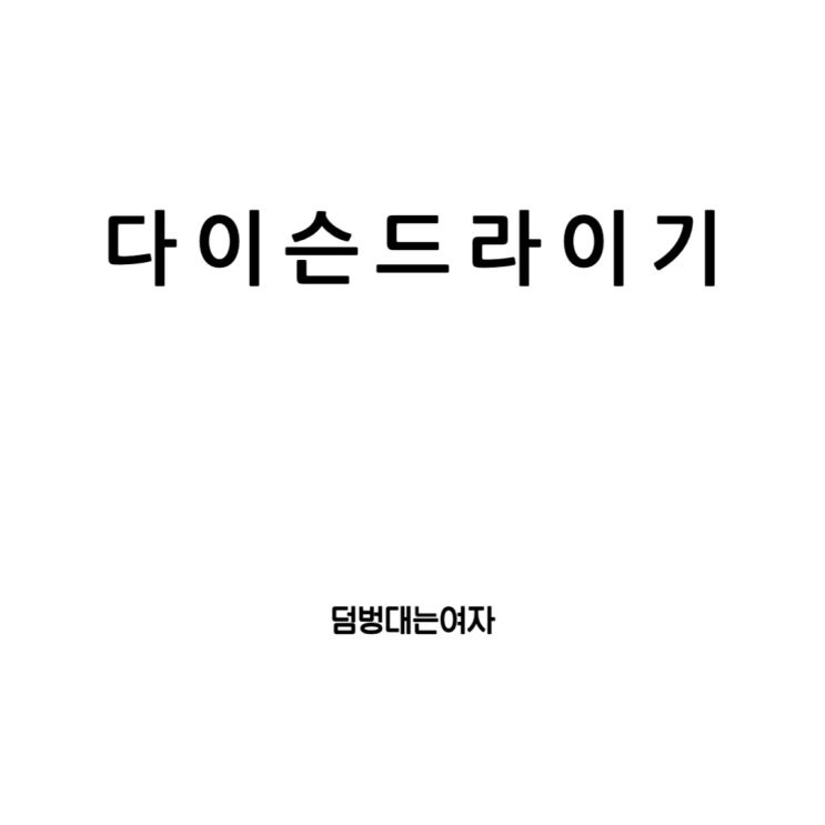  다이슨 드라이기와 슈퍼소닉 그리고 저렴이 모델까지
