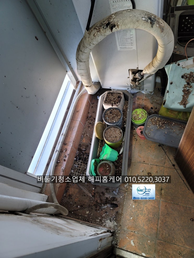  양산비둘기퇴치[청소] 울산오피스텔 비둘기똥,배설물청소,페기물처리~해피홈케어