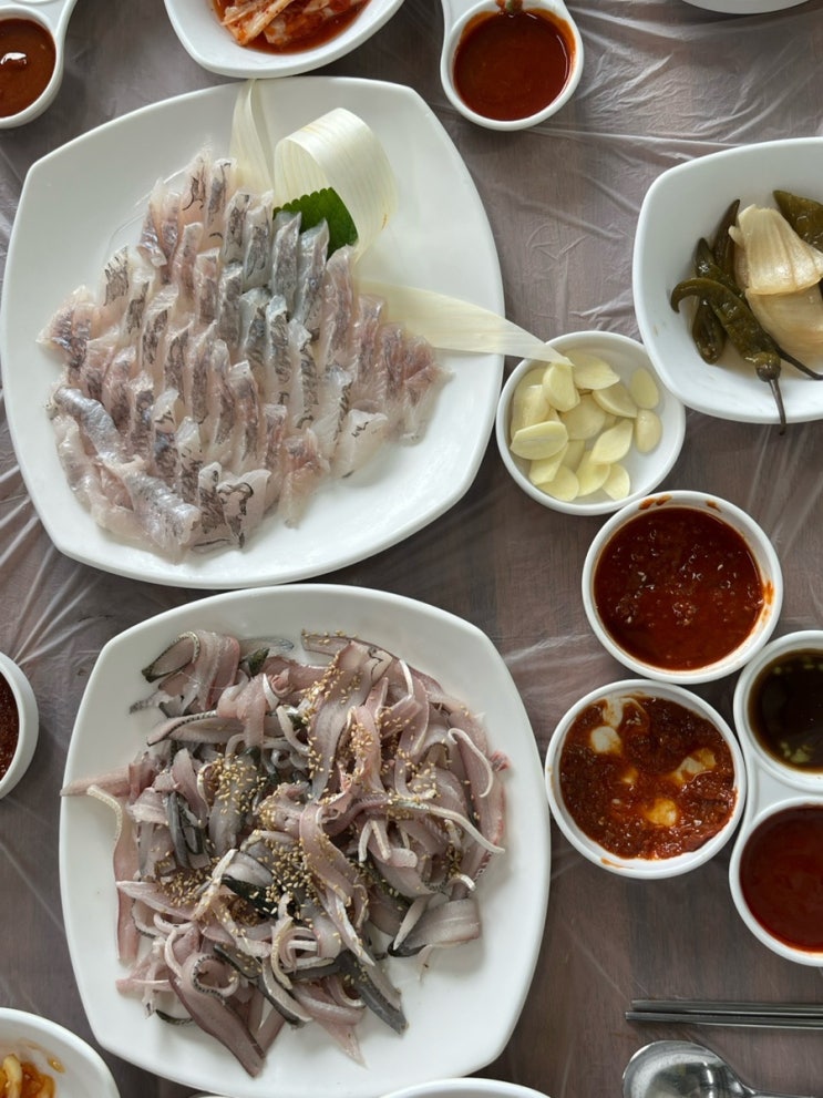  [당진 맛집] 해뜨는집 다양한 회 먹기 좋은 곳 존맛탱  대하도 있어요