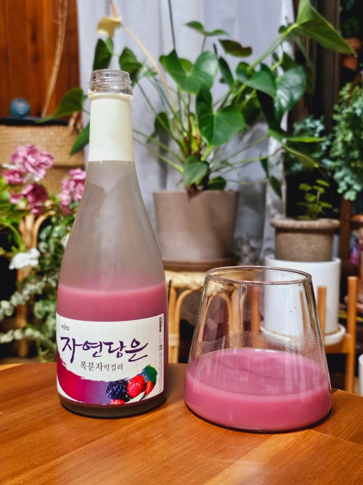  국순당 자연담은 복분자 막걸리 (파는 곳, 가격, 도수, 칼로리) 후기