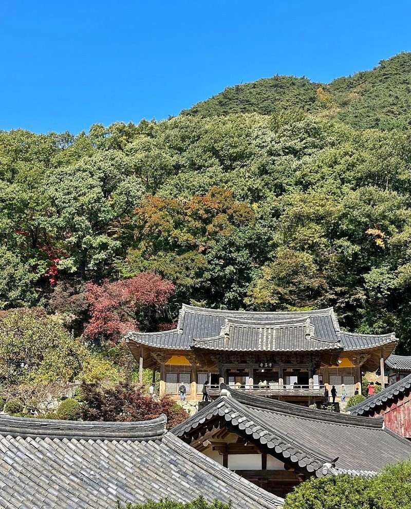 영주 부석사 무량수전 가을에 가볼만한곳 단풍 명소 : 네이버 블로그