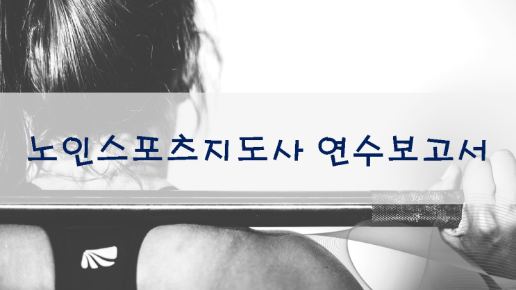  노인스포츠지도사 연수보고서 작성 예시