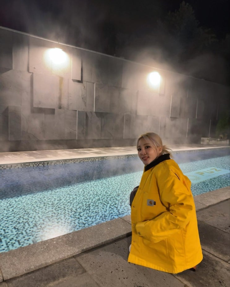 산다라박 여자 스트릿패션 아이앱스튜디오 칼하트 여성 초어 코트 정보! 산다라박 여자 스트릿패션 아이앱스튜디오 칼하트 여성 초어 코트 정보!