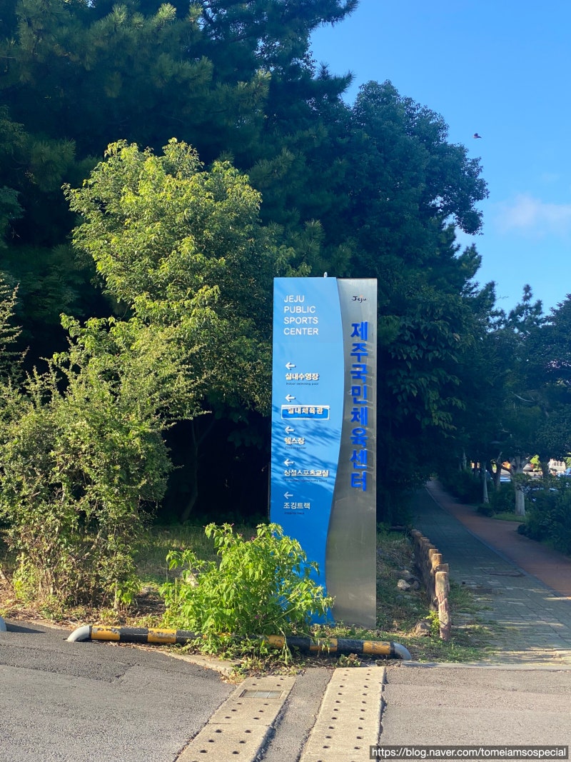 [제주도 수영장/제주 사라봉 수영장] 제주국민체육센터, 수영장 자유수영 후기!