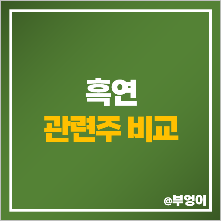흑연 관련주 원자재 테마주 태켱비케이 주식 상보 주가 흑연 관련주 원자재 테마주 태켱비케이 주식 상보 주가