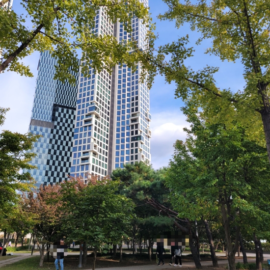 서울숲 가을산책 나들이 서울 강북 성수 단풍명소 가볼만한 곳 서울숲 가을산책 나들이 서울 강북 성수 단풍명소 가볼만한 곳