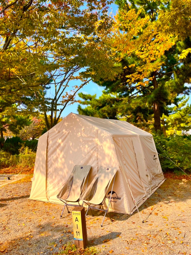 [태안 학암포] 국립공원캠핑장 태안해안 학암포 오토캠핑장 자동차 야영장 명당 A11 예약 취....