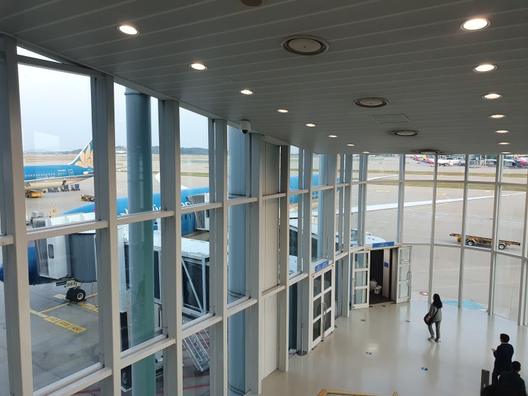  베트남 출입국 이모저모