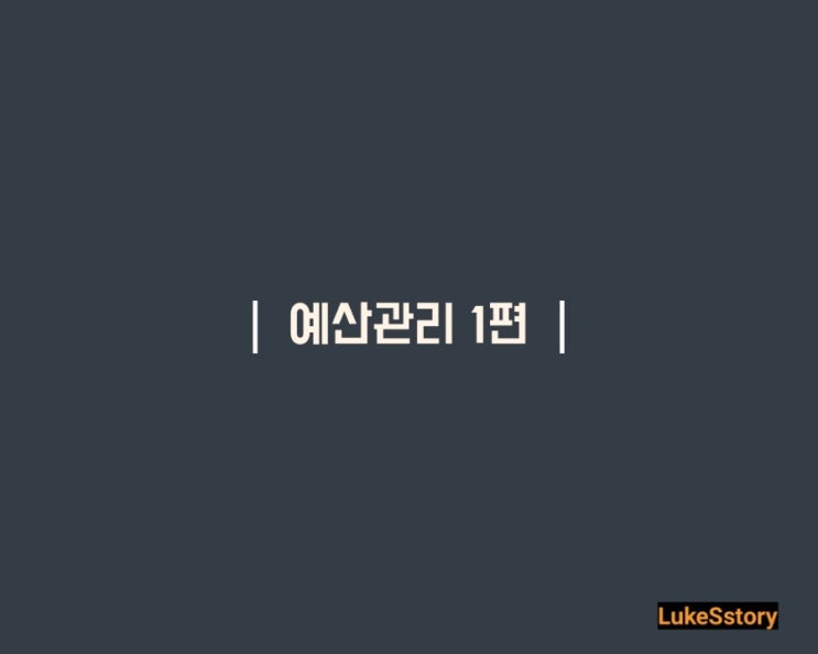  [경영기획] 예산관리 1편