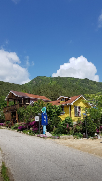 들국화펜션 사진 3