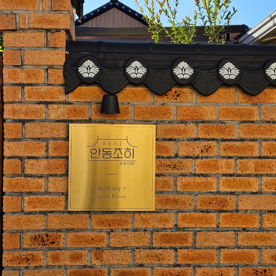 안동조히 사진 2