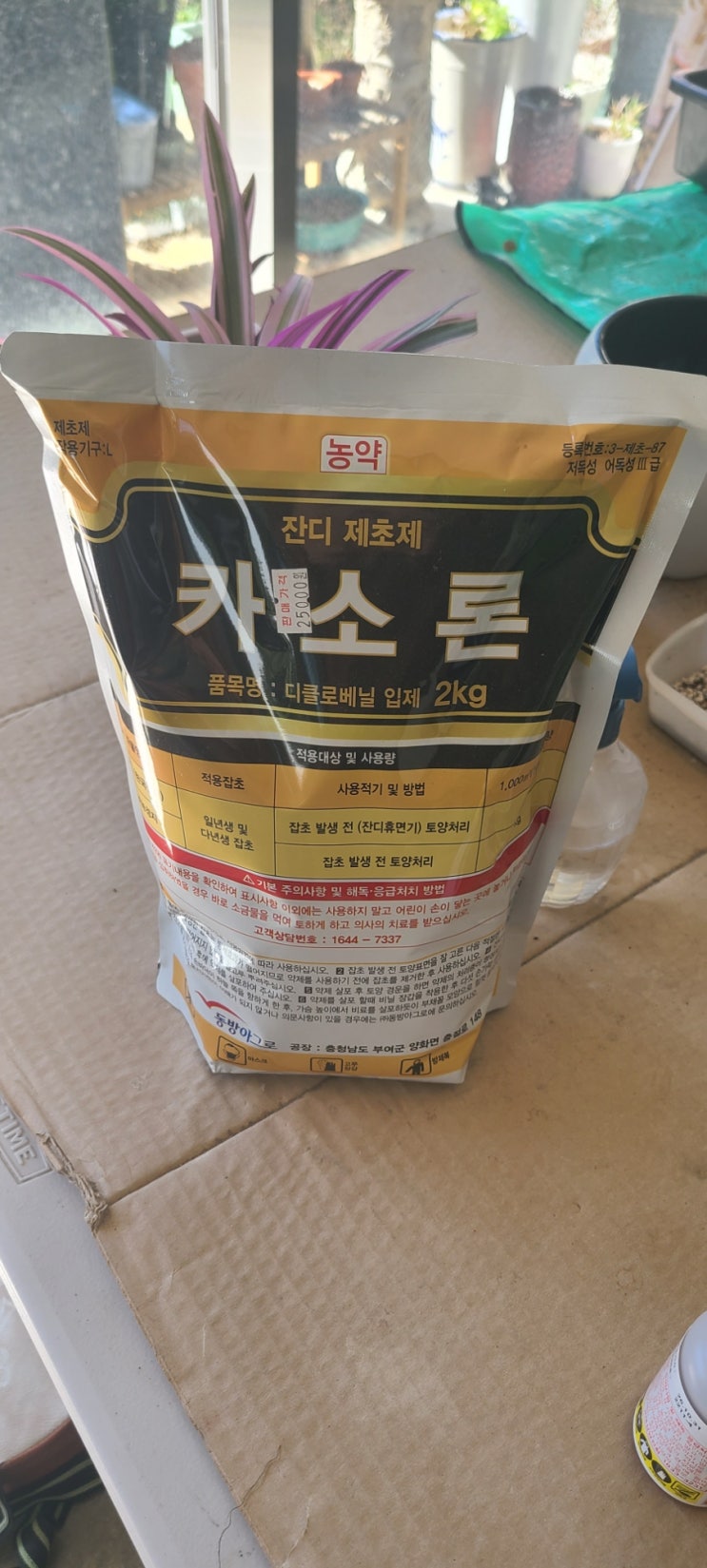  잡초 발아전 제초제 "카소론"  적극 추천('울산벌초대행')