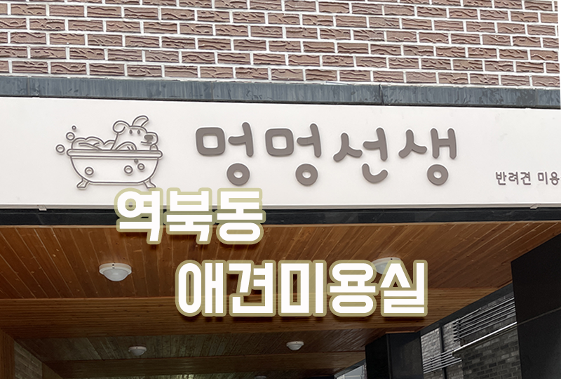 멍멍선생
