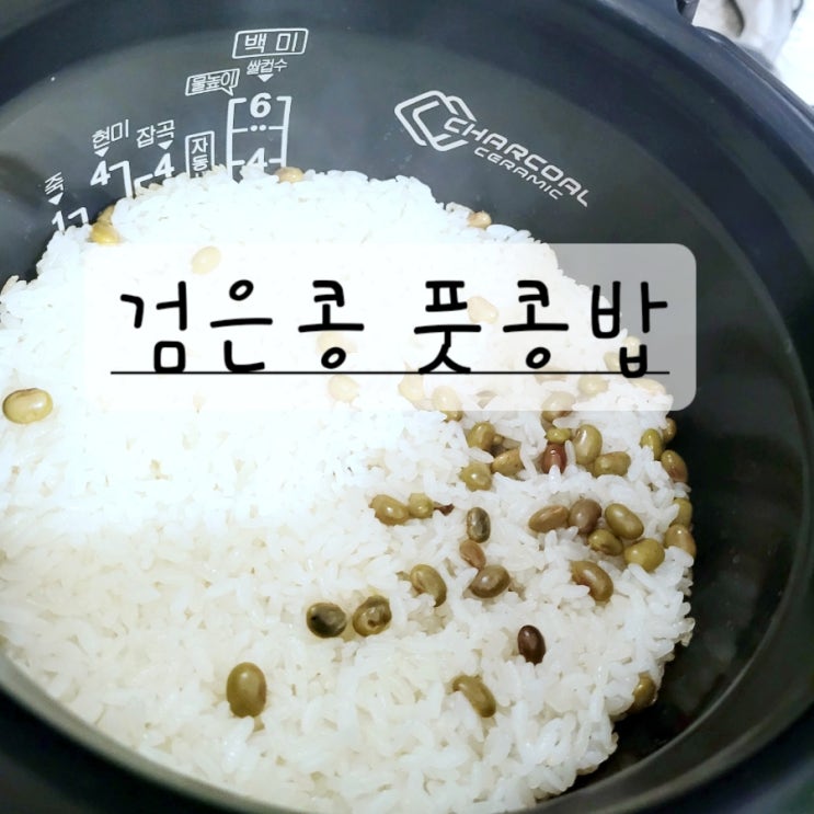 검은콩 풋콩밥