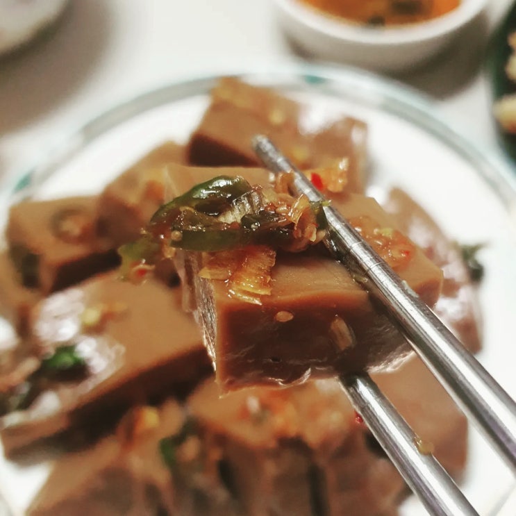 집밥 모음 다시마쌈 잡채 두부찌개 수제 도토리묵