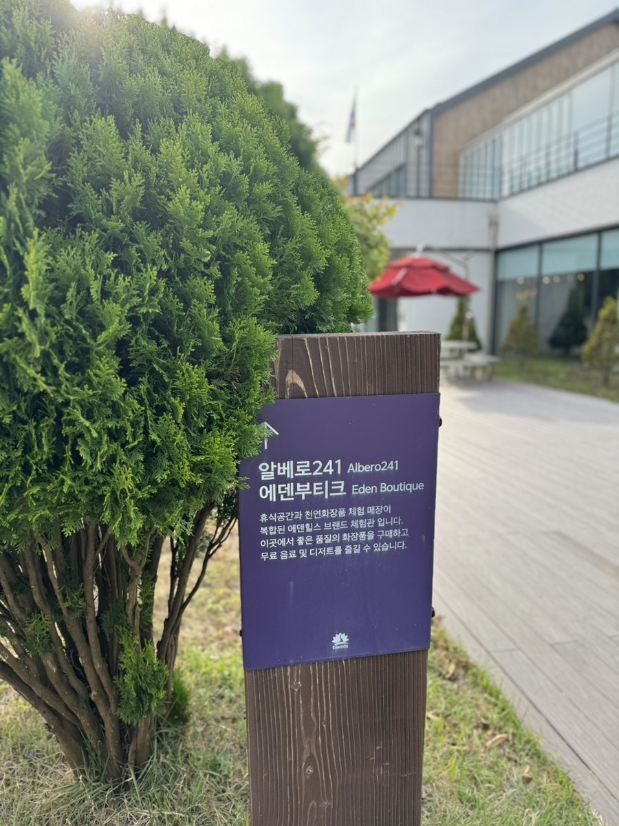 알베로241 사진 6