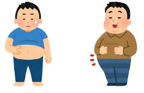  배(신체부위)와 관련된 꿈해몽 모음