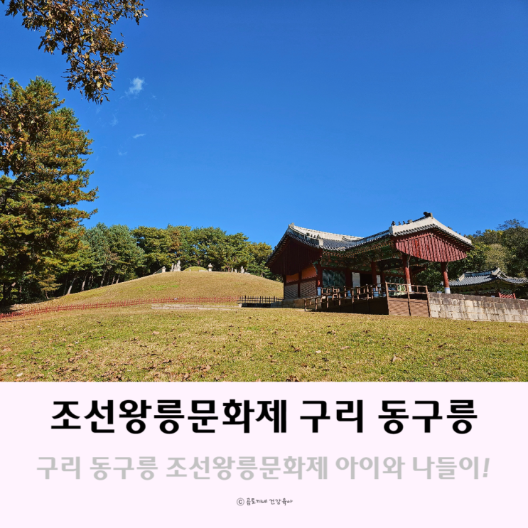 2023 조선왕릉문화제 구리 동구릉으로 경기도 주말나들이 2023 조선왕릉문화제 구리 동구릉으로 경기도 주말나들이