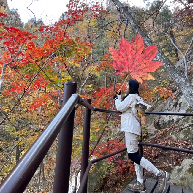  [강원/등산] 설악산 흘림골 등산 / 설악산 단풍