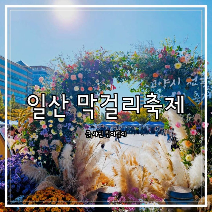  고양시 일산 막걸리축제 솔직후기 (주차, 꿀팁)