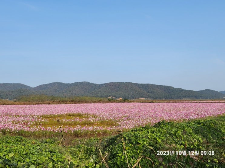 콩돌해수욕장, 용트림바위, <b>천안함</b>위령탑, 사곶해변