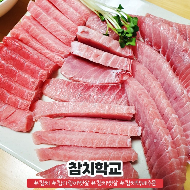 참치 뱃살 택배 주문 참치학교 참다랑어 뱃살 대만족