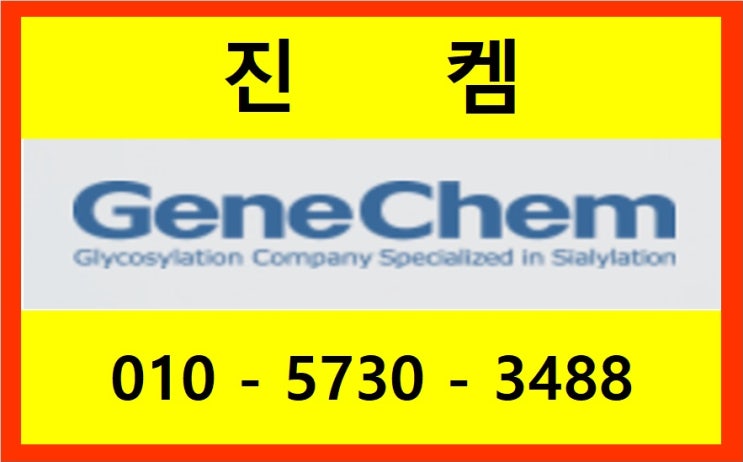  진켐 <b>대풍이브이자동차</b>