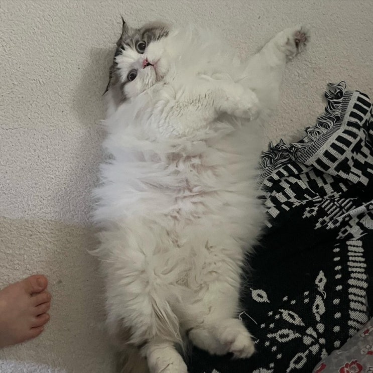  [일상] 나에게 3개월이 필요해요