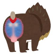  엉덩이에 대한 꿈해몽 모음