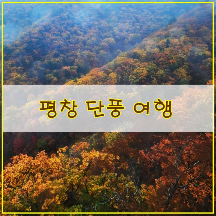  평창 단풍 여행 모나 용평리조트 발왕산 관광 케이블카 다녀온 후기