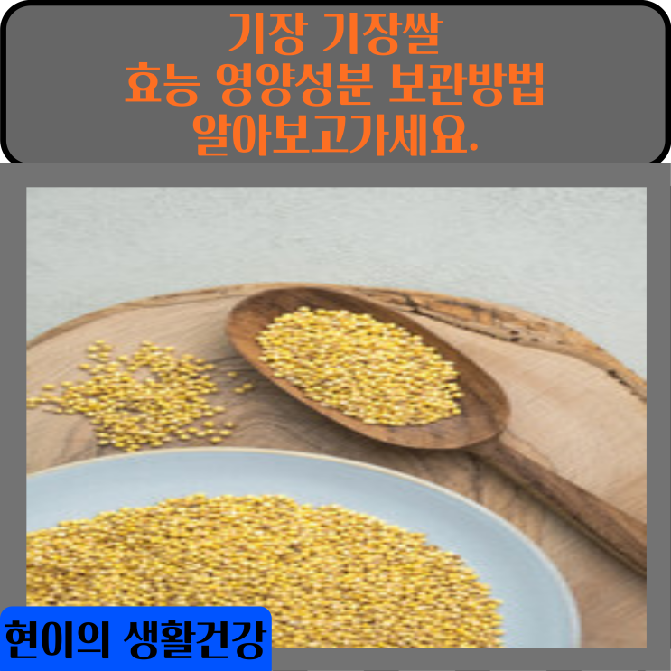 기장 기장쌀 효능 영양성분 보관방법 알아보고가세요.