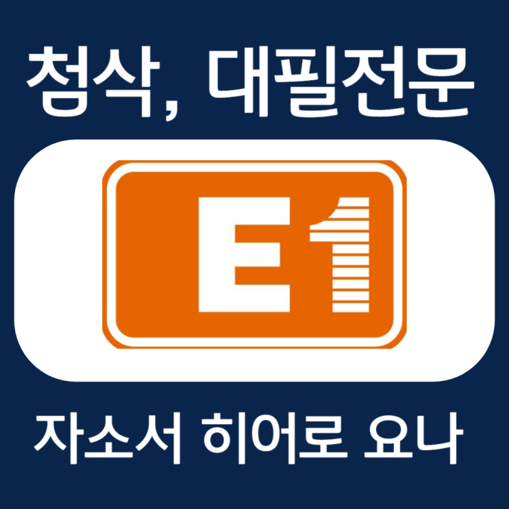  E1 자기소개서 작성법, 자소서 문항 첨삭