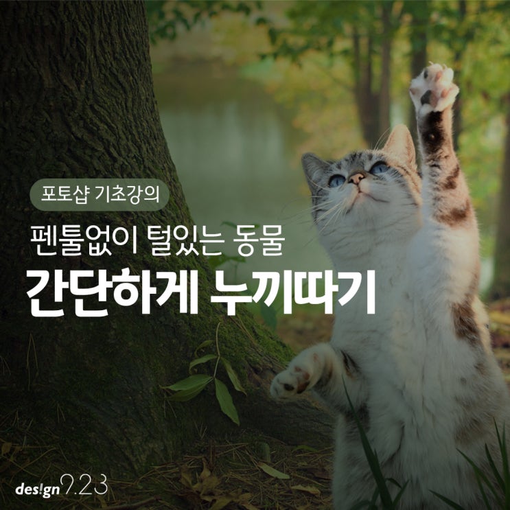 털 있는 동물 포토샵으로 펜툴없이 간단하게 누끼 따기 (ft, 고양이)