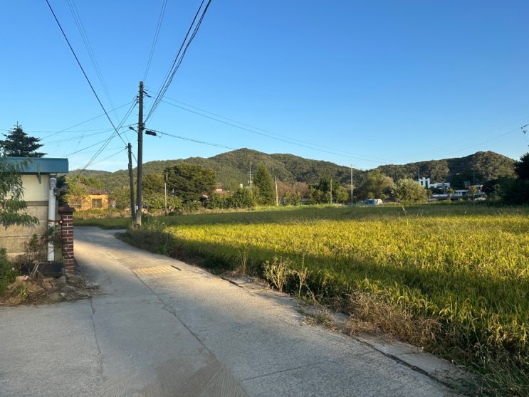  [충남/공주] 애견동반 가능 촌캉스, 시골집손님방