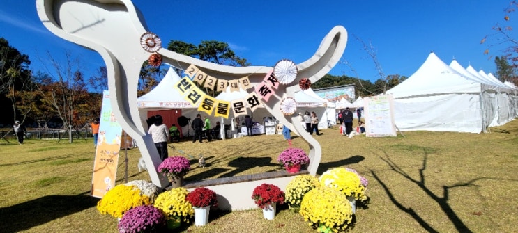 대전<b>반려동물</b> 문화축제 <b>유기동물</b> 입양홍보