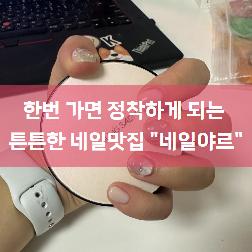  [강남네일/강남네일아트] 정착할 수 밖에 없는 튼튼한 젤네일 내돈내산 왕추천 "네일야르"
