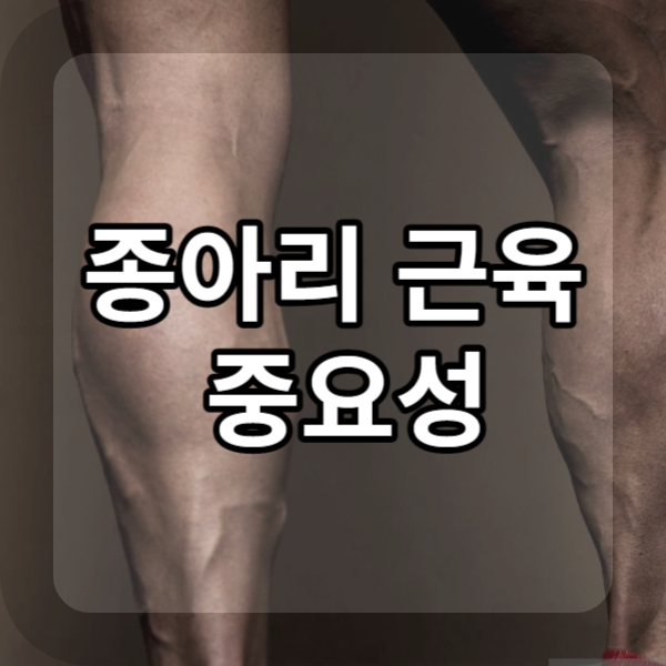  제2의 심장 종아리 근육 중요성