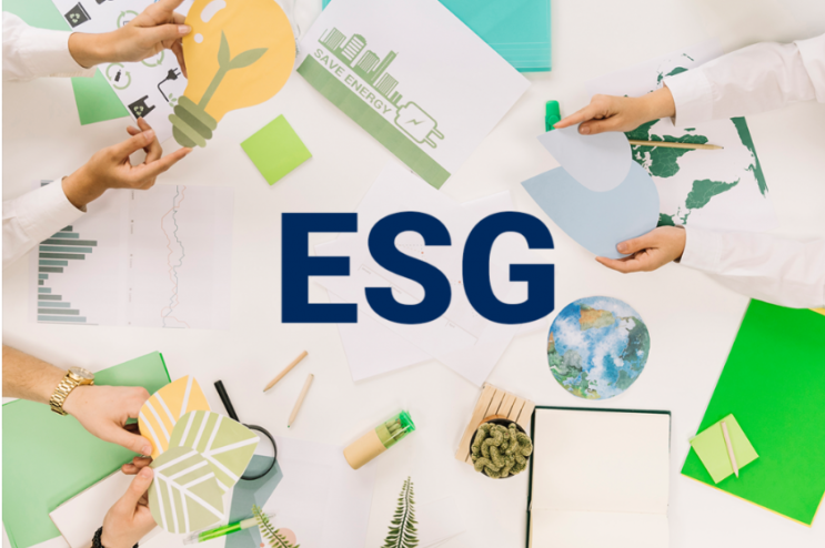 ESG 중요성 _ 기업 이미지 평판 관리와 오너리스크 (남양유업 사례)